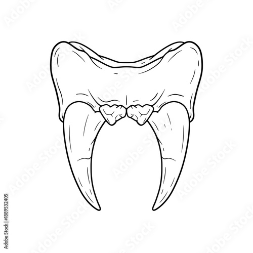 Cartoon illustration shows a pelvis area in black and white outline details