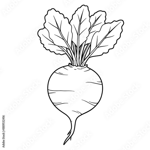 Outlined veggie with leafy top