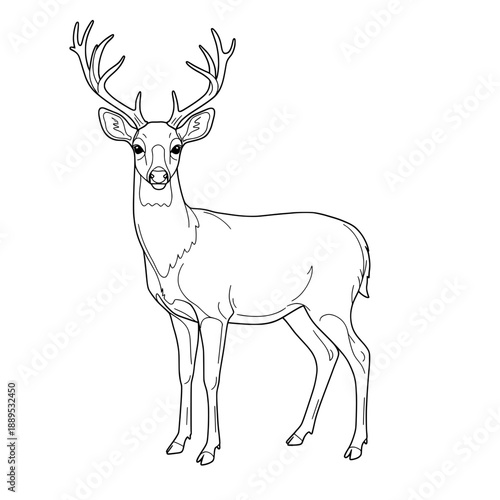 A deer outline with large antlers poses gracefully, facing forward, in black and white