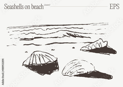 Scattered Seashells on Sandy Ocean Shore Sketch