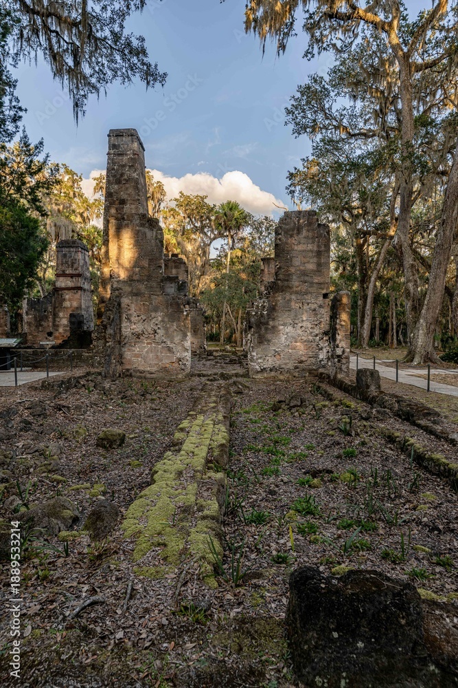 Fototapeta premium Bulow Plantation Ruins Historic State Park, Florida