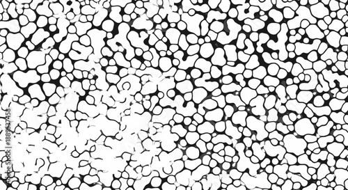 Black and white abstract pattern with irregular shapes and textures.