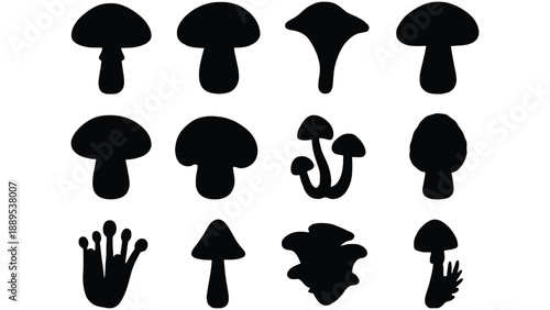 A collection of various mushroom illustrations in different shapes and sizes