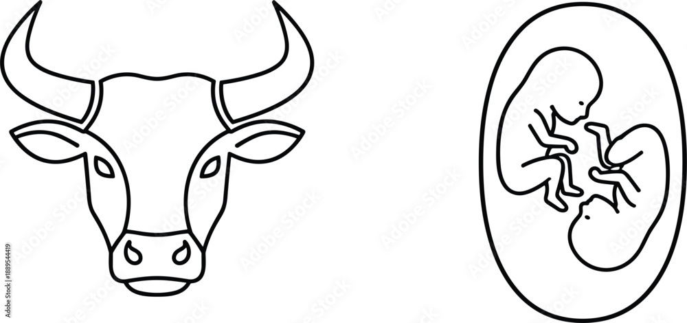 Obraz premium Cow head and human embryo outline illustrations isolated minimalist black line vector symbols agriculture biology life concept design