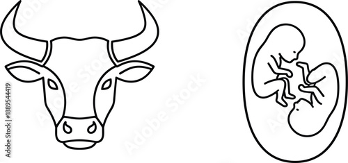 Cow head and human embryo outline illustrations isolated minimalist black line vector symbols agriculture biology life concept design
