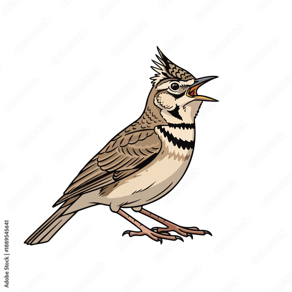 Obraz premium A drawing of a singing bird