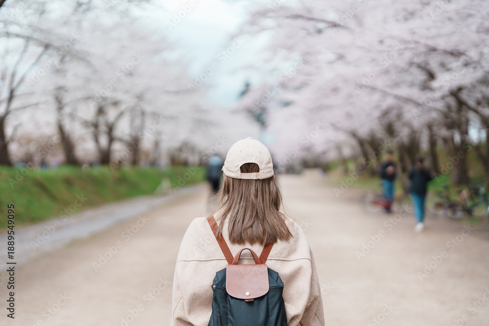 Fototapeta premium Woman tourist sightseeing Hirosaki Castle park with Sakura Cherry Blossom in Spring, traveler travel in Hirosaki city, Aomori, Tohoku, Japan. Landmark famous in Japan. Travel and Vacation destination
