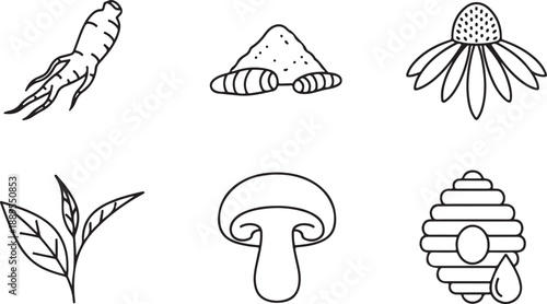 Herbal Ingredients Icon Set: Ginseng, Turmeric, Echinacea, Tea, Mushroom, Beehive Isolated on white background
