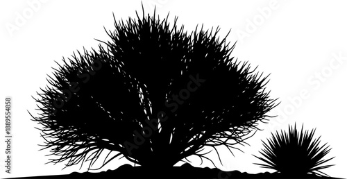 Dense desert shrub silhouette resembling a large tumbleweed