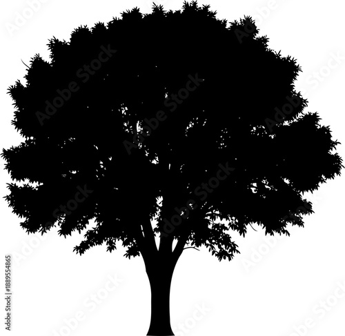 Dense leafy tree silhouette with a broad rounded crown
