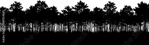 Dense forest edge tree line silhouette