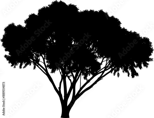 Dense leafy tree canopy silhouette with thick trunk