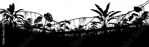Dense jungle vegetation border silhouette with tropical leaves