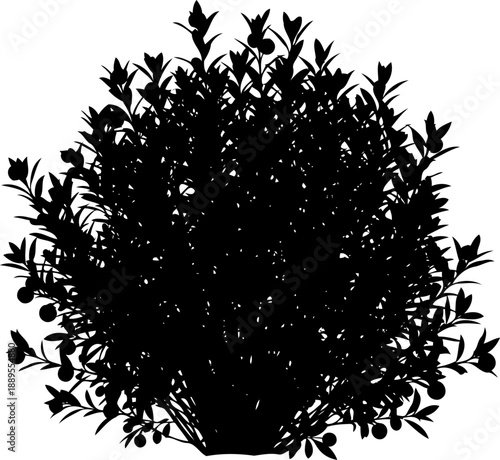 Dense rounded berry bush silhouette