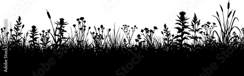 Dense wildflower and tall grass border silhouette for design
