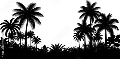 Exotic palm tree grove silhouette landscape