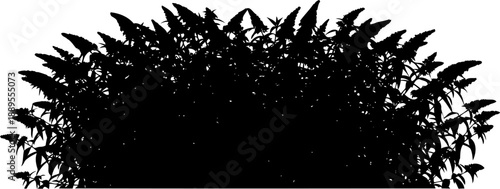 Flowering butterfly bush silhouette