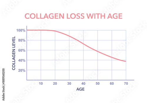 Collagen loss chart in human skin across different ages. Concept illustration of age related collagen reduction in skin layers.