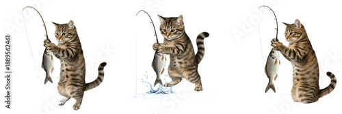 Obraz na plátně Funny set of cute tabby kittens holding fishing rods and catching fish isolated on white background