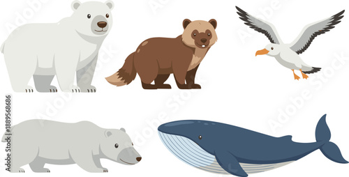 Wildlife Animals Vector Set with Polar Bear Brown Bear Seagull and Whale Illustrations for Nature Education Ecology and Animal Design Projects