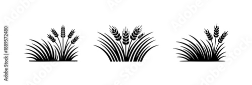Black and White Prairie Grass Wheat Field Design