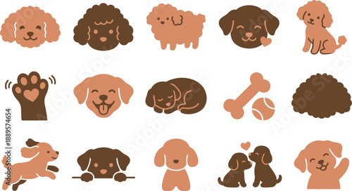 Delightful Collection of Adorable Poodle Dog Illustrations in Various Playful Poses and Sweet Expressions Vector Set