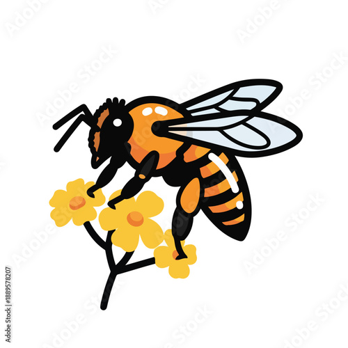 A bee collects nectar from yellow flowers