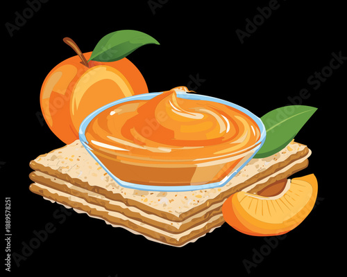 Crunchy cracker topped with creamy orange fruit spread and fresh apricot pieces for a tasty appetizer - Vector Illustration