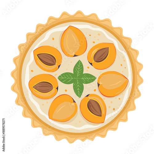 Mini fruit tart with fresh apricot slices and a mint leaf garnish on a buttery pastry crust - Vector Illustration