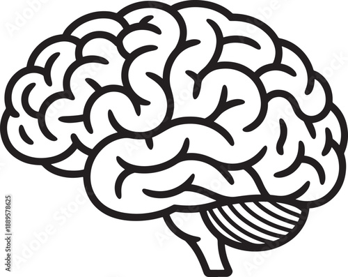 Brain human brain black white neurology