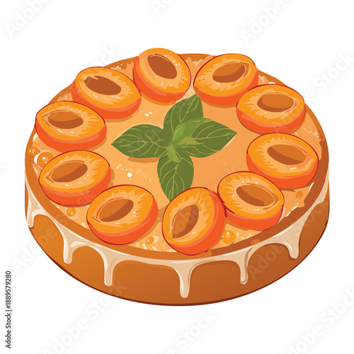 Traditional fruit tart with baked apricot slices and a green mint leaf garnish in the center crust - Vector Illustration