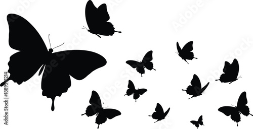 Butterfly silhouettes, flying insects, black outline, nature design, animal diversity, minimal art, vector illustration, decorative pattern, elegant wings, creative concept