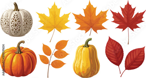 Autumn seasonal elements vector illustration set with pumpkins, gourds, and colorful fall leaves, decorative harvest design for thanksgiving, halloween, and seasonal graphic projects