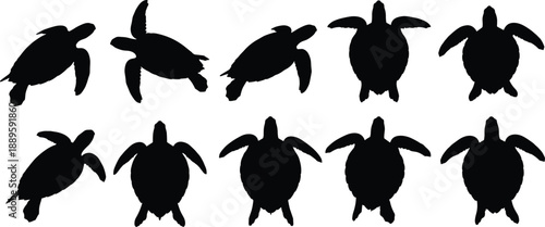 PrintSea turtle silhouette set, marine reptile swimming poses, ocean wildlife icons, black vector illustration, aquatic animal collection design, graphics elements