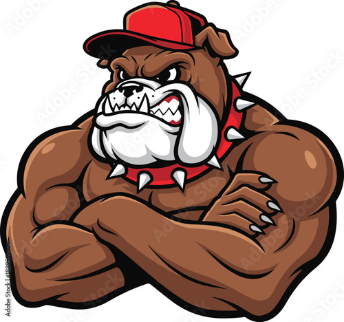 Aggressive cartoon bulldog mascot illustration wearing red cap and spiked collar, muscular dog character design for sports teams, branding, logo vector artwork