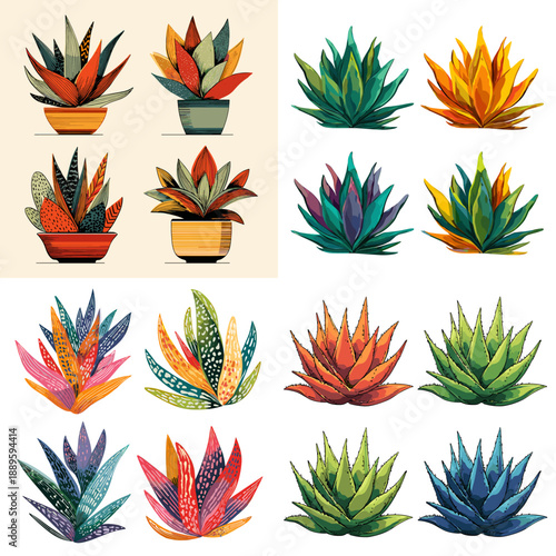 Stylized illustration set of colorful succulent plants in pots. Decorative botanical collection perfect for home decor gardening branding and modern design.