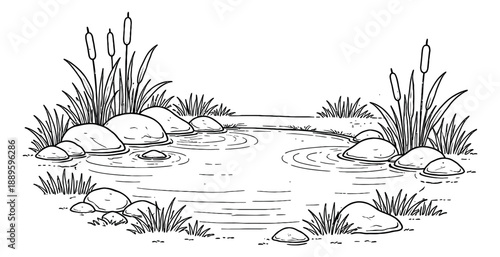 Hand drawn line art illustration of a pond depicting rocks, cattails, and water ripples for natural environments