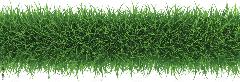 Fototapeta premium Dense green grass horizontal border background representing natural lawn texture freshness growth and outdoor landscape design flat vector illustration