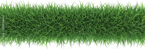 Dense green grass horizontal border background representing natural lawn texture freshness growth and outdoor landscape design flat vector illustration