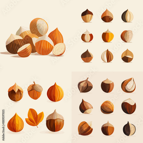 Stylized illustration set of assorted nuts with warm natural tones. Minimal food collection featuring hazelnuts and chestnuts ideal for packaging nutrition and organic design.