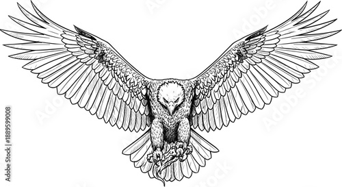 Detailed hand drawn eagle illustration, powerful bird of prey with spread wings in black and white engraving style for tattoo logo and vector art