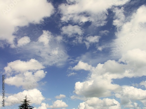 Wallpaper Mural 初秋の朝の雲と青空風景 Torontodigital.ca