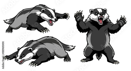 Aggressive Wild Badgers Mascot Cartoon Character Vector Art Set