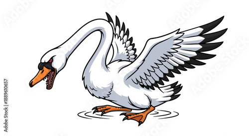 Aggressive white swan with wings spread wide hissing on the water surface