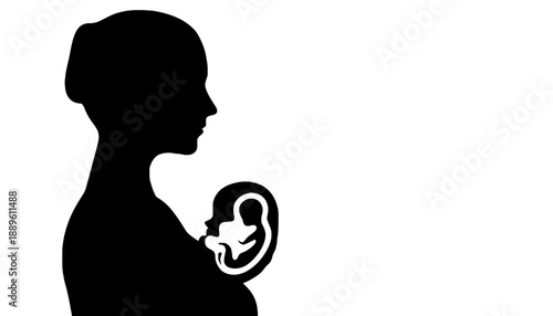 A pregnant woman's silhouette with a baby inside her womb