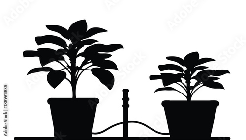 Two potted plants connected by an automatic watering system
