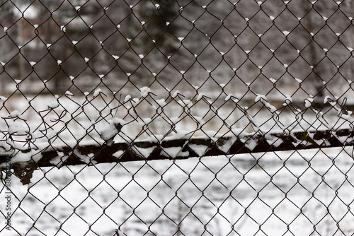 Wallpaper Mural Rusty chain-link fence, partially draped with fresh snow, presents a frosty barrier on a bleak winter day, hinting at solitude and cold nature Torontodigital.ca