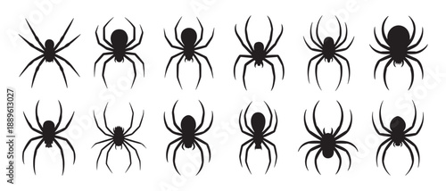 Set of Black Spider Icons on White Background Halloween And Horror Elements.