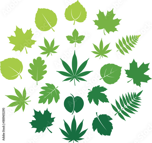 Collection of green leaf icons including maple oak fern and hemp shapes arranged in circular composition natural botanical flat vector illustration