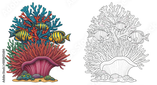 Colorful Tropical Fish and Coral Reef Scene With Detailed Outline Drawing Illustration